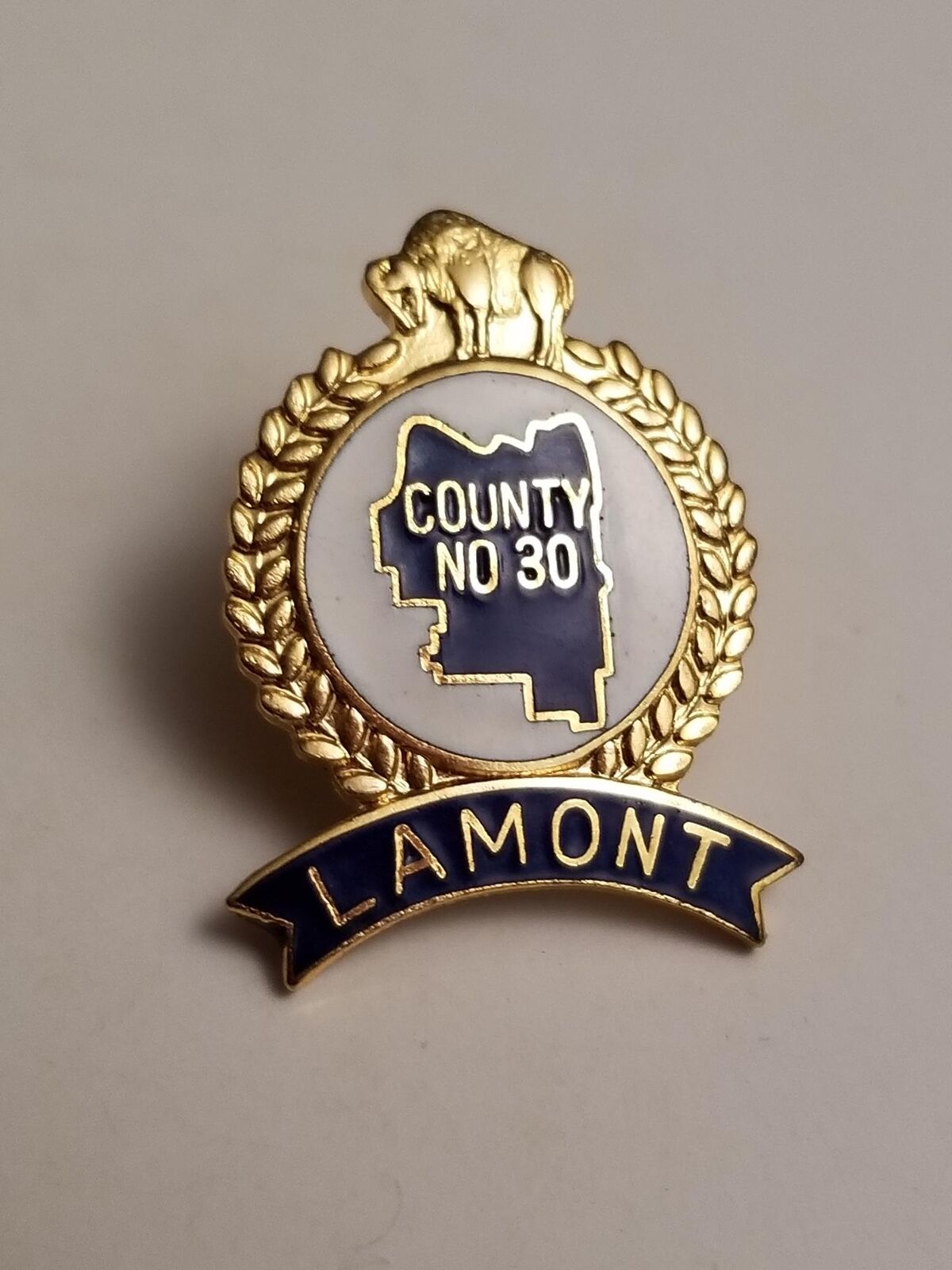 Lamont County No 30 Alberta Buffalo Lapel Pin 2272